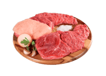 Fraldinha Bovina